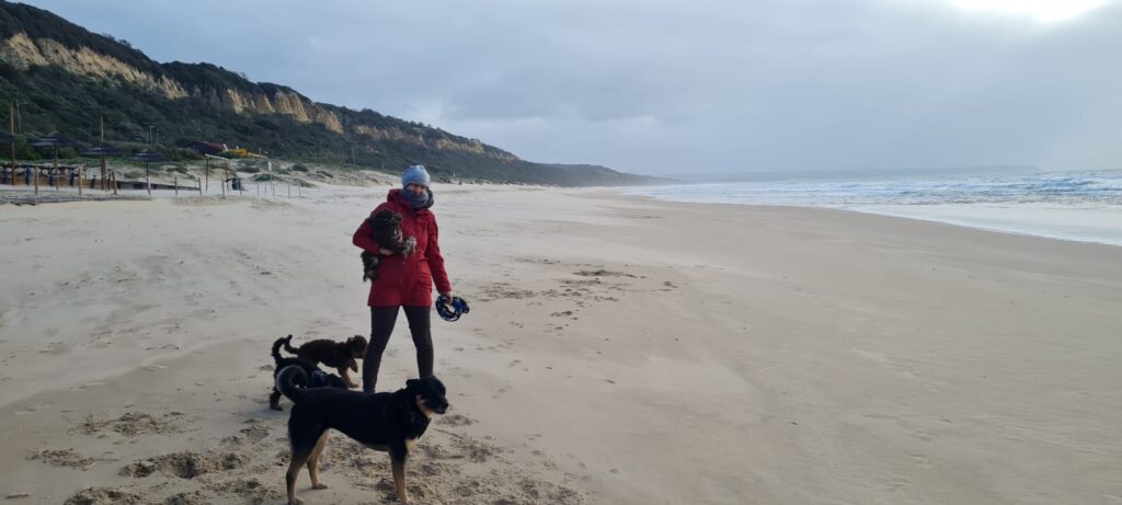 Strandspaziergang mit Hunden 